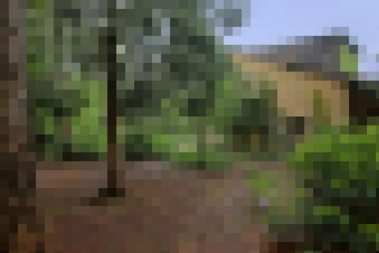 Everlaan 8 Wageningen thumbnail 50