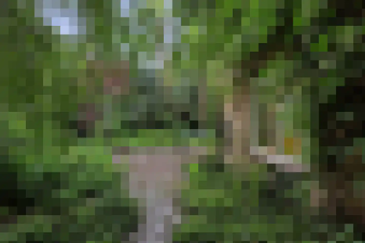 Everlaan 8 Wageningen thumbnail 53