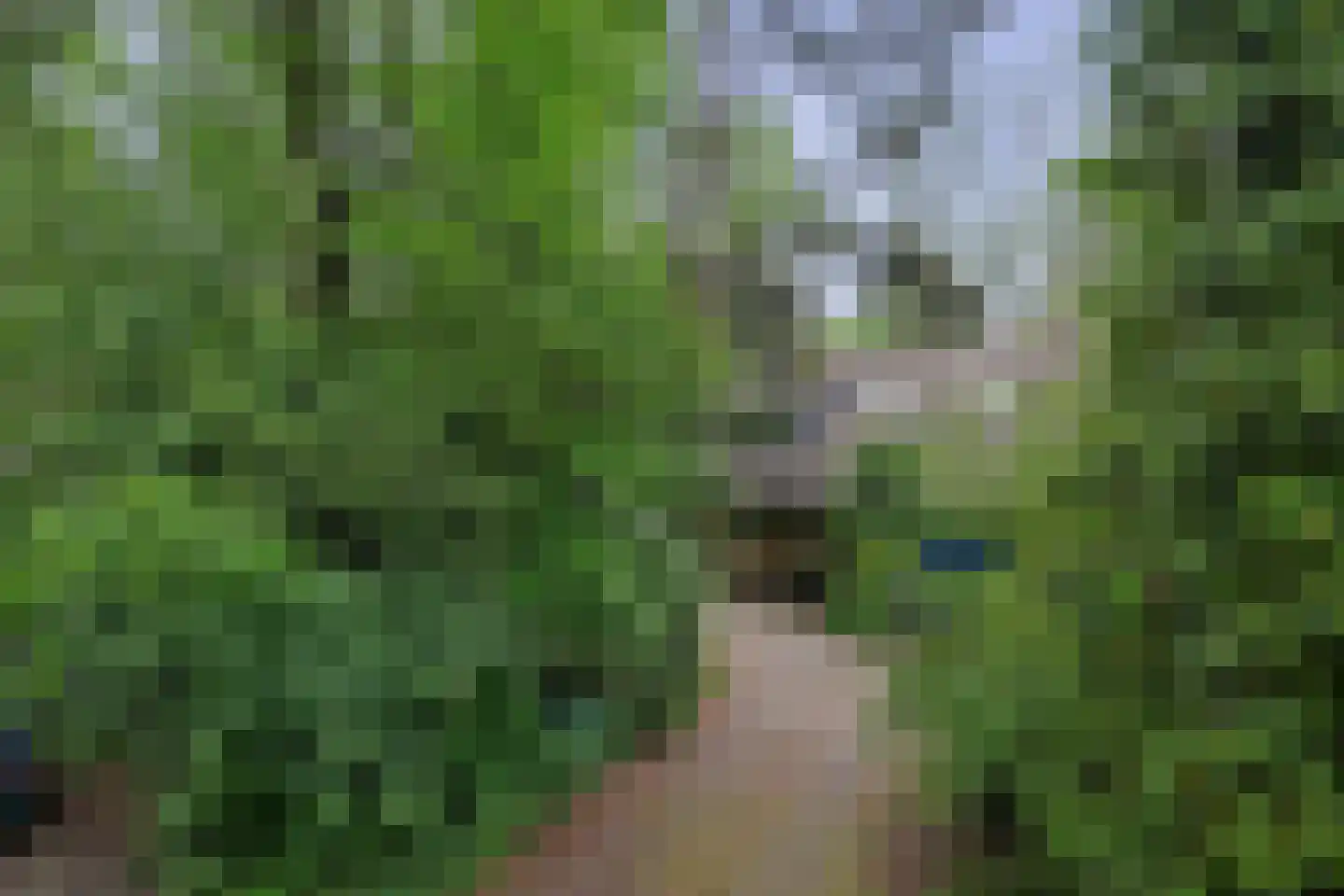 Everlaan 8 Wageningen thumbnail 6