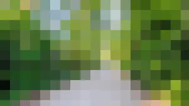 Everlaan 8 Wageningen thumbnail 7