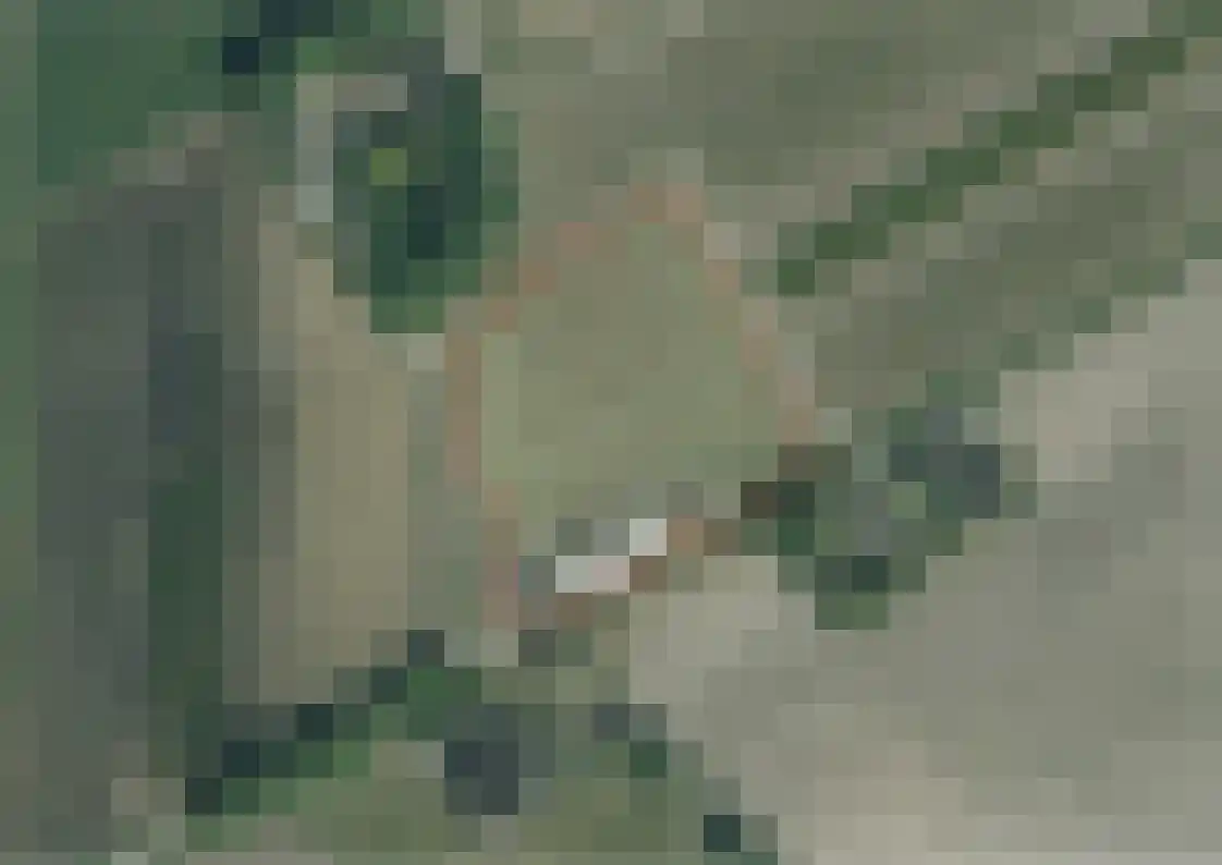 Everlandwegje 7 Nispen thumbnail 17