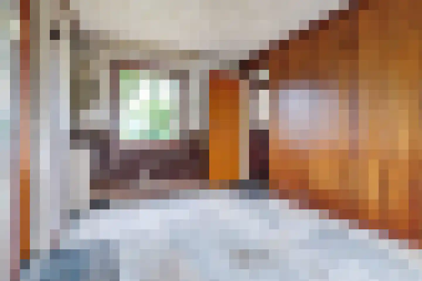Everlandwegje 7 Nispen thumbnail 8