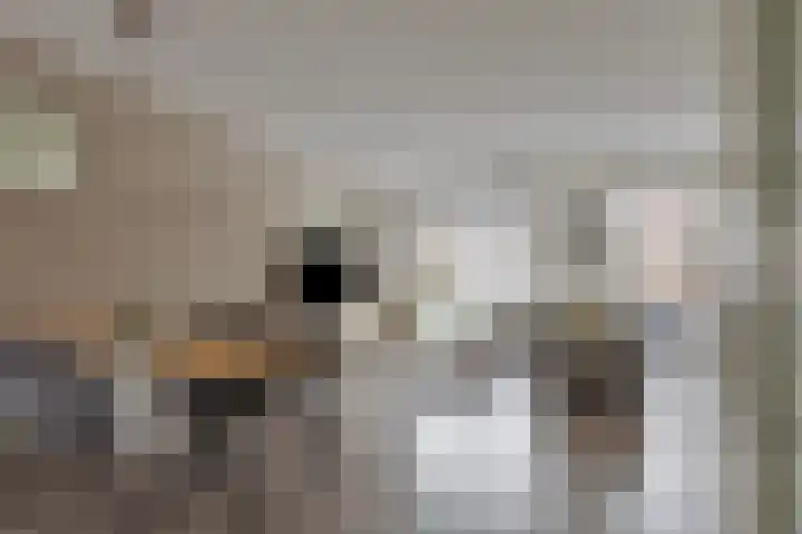 Everlo 15 Hengelo thumbnail 12