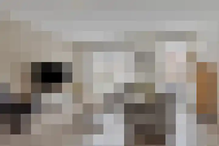 Everlo 15 Hengelo thumbnail 13