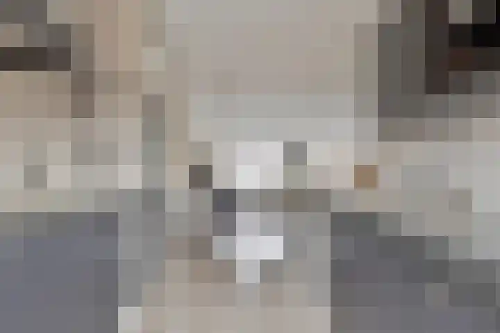 Everlo 15 Hengelo thumbnail 20