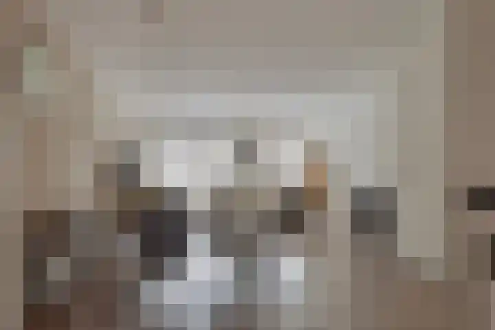 Everlo 15 Hengelo thumbnail 21