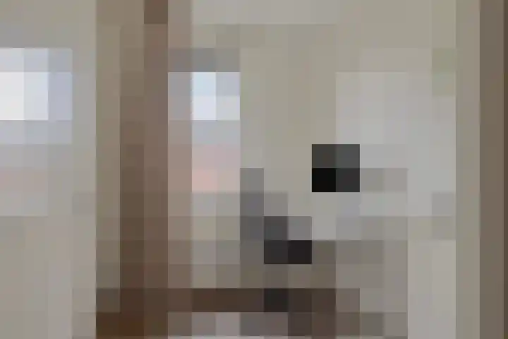 Everlo 15 Hengelo thumbnail 26