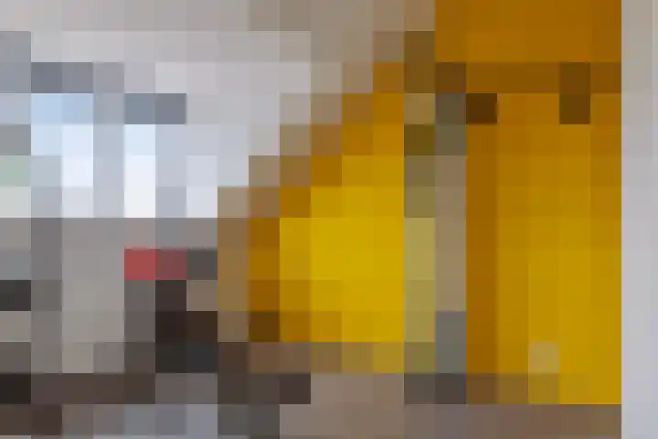 Everlo 15 Hengelo thumbnail 33