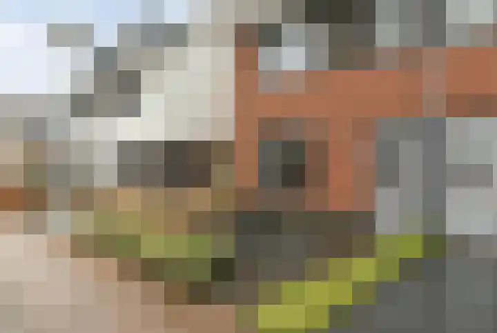Everlo 15 Hengelo thumbnail 8
