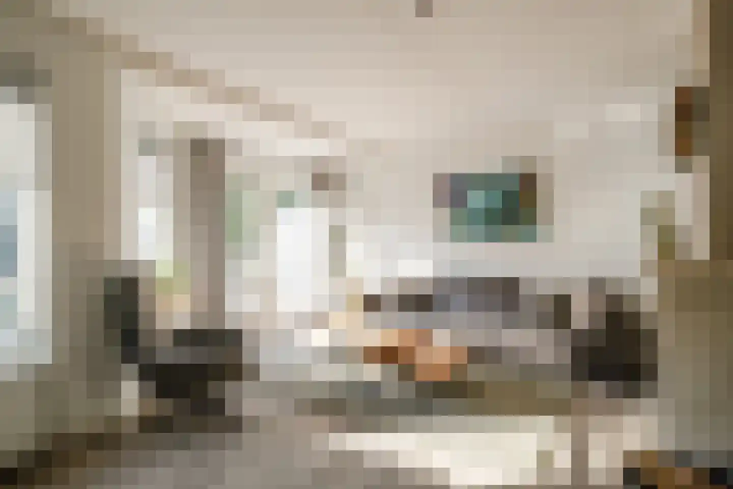 Everlo 15 Losser thumbnail 11