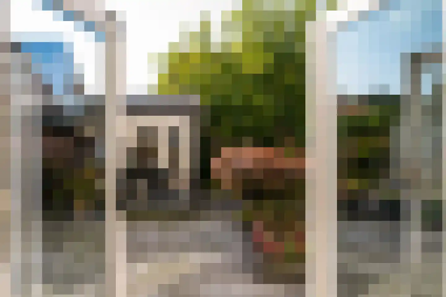 Everlo 15 Losser thumbnail 12