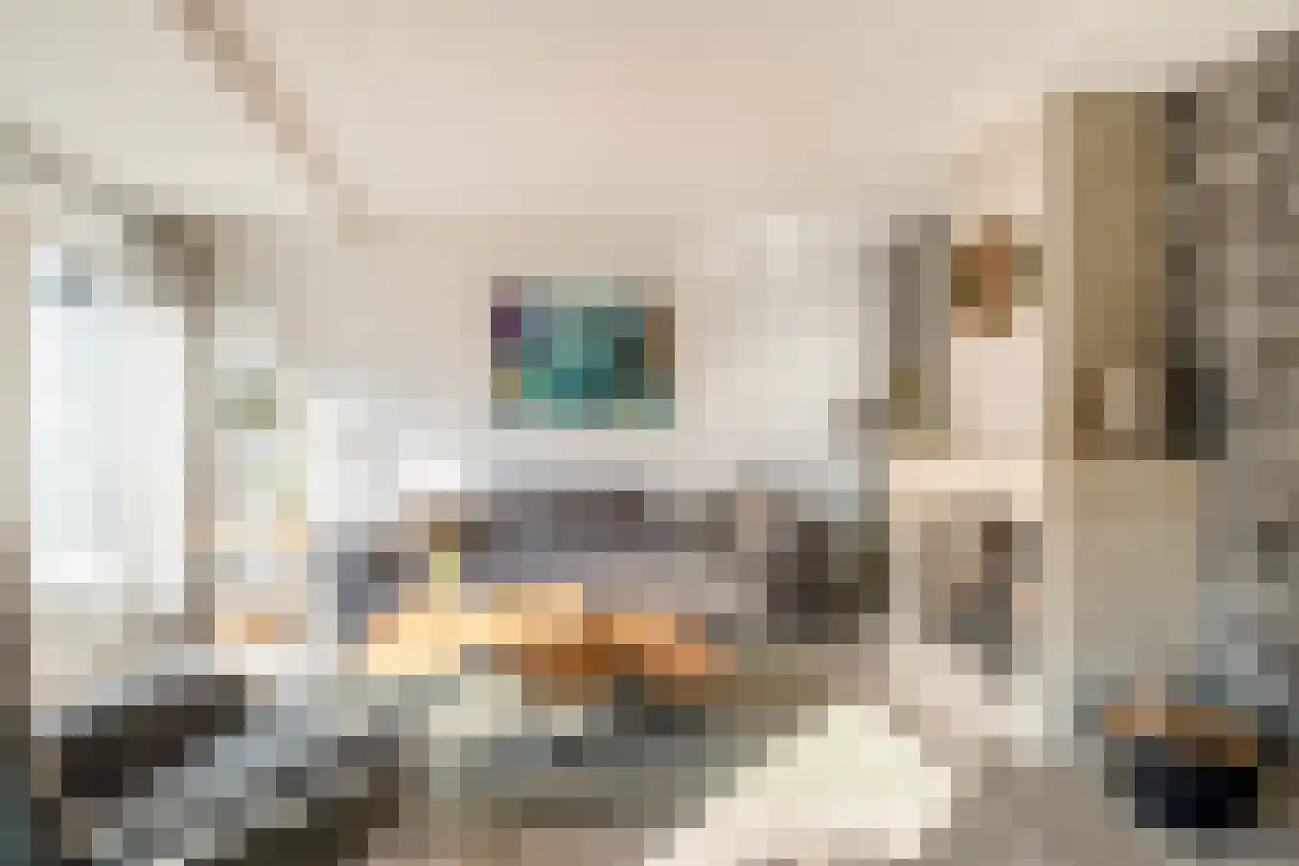 Everlo 15 Losser thumbnail 13