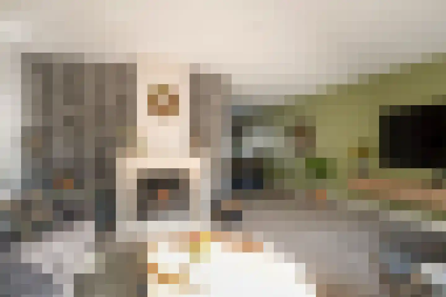 Everlo 15 Losser thumbnail 14