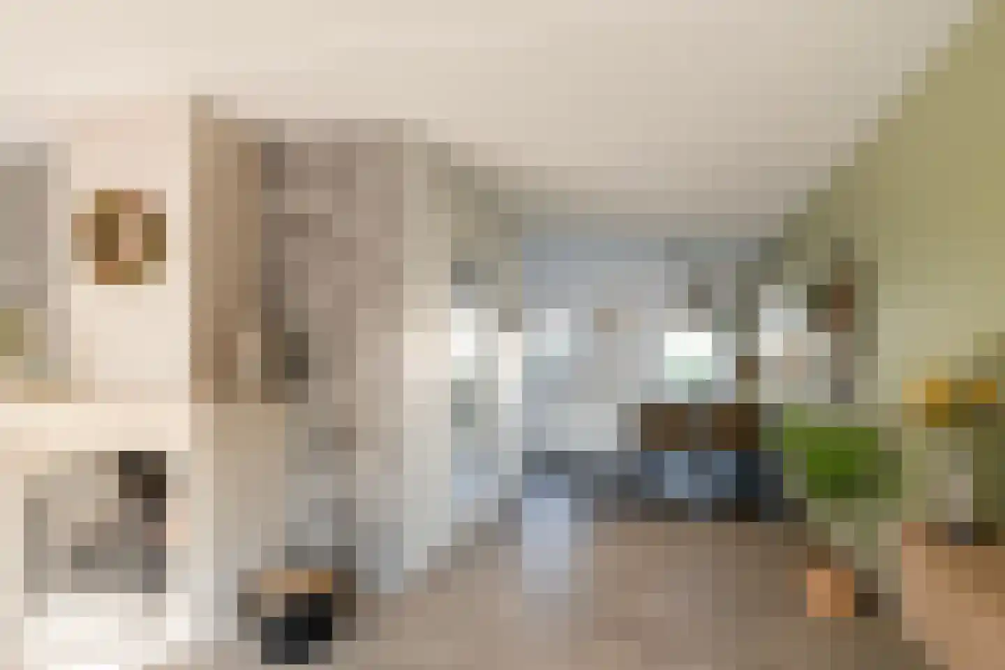 Everlo 15 Losser thumbnail 15