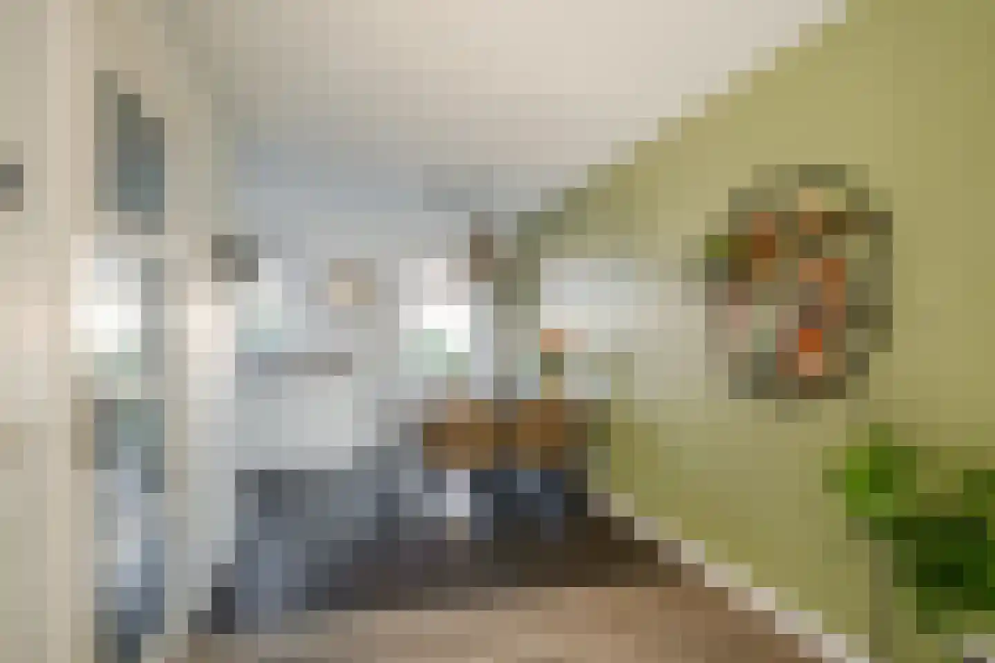 Everlo 15 Losser thumbnail 16