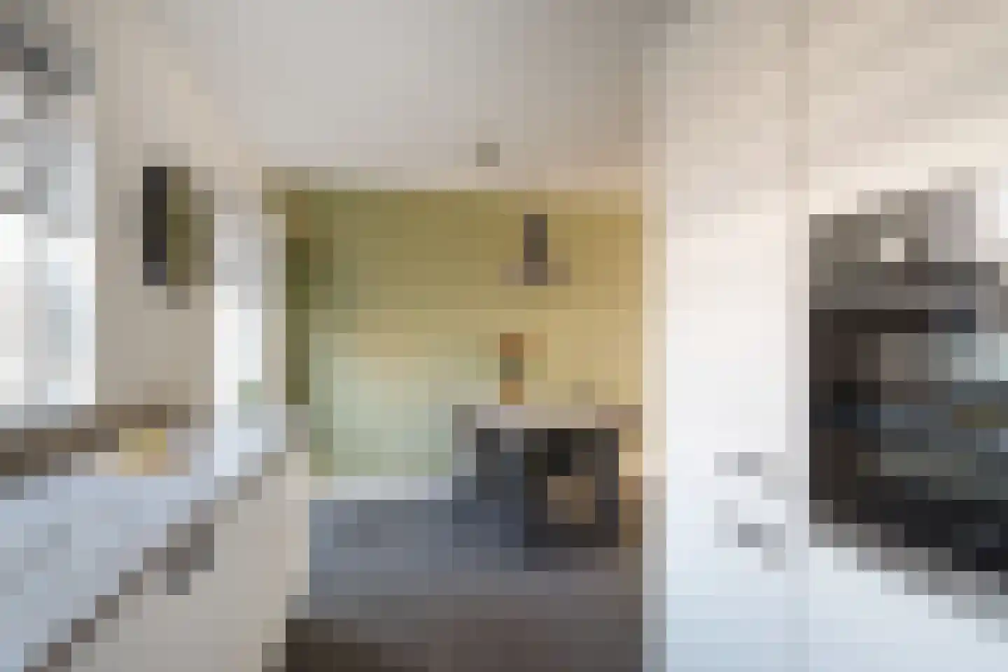 Everlo 15 Losser thumbnail 19