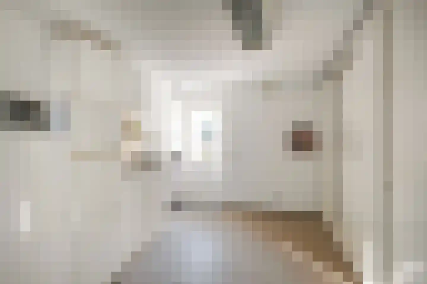 Everlo 15 Losser thumbnail 20