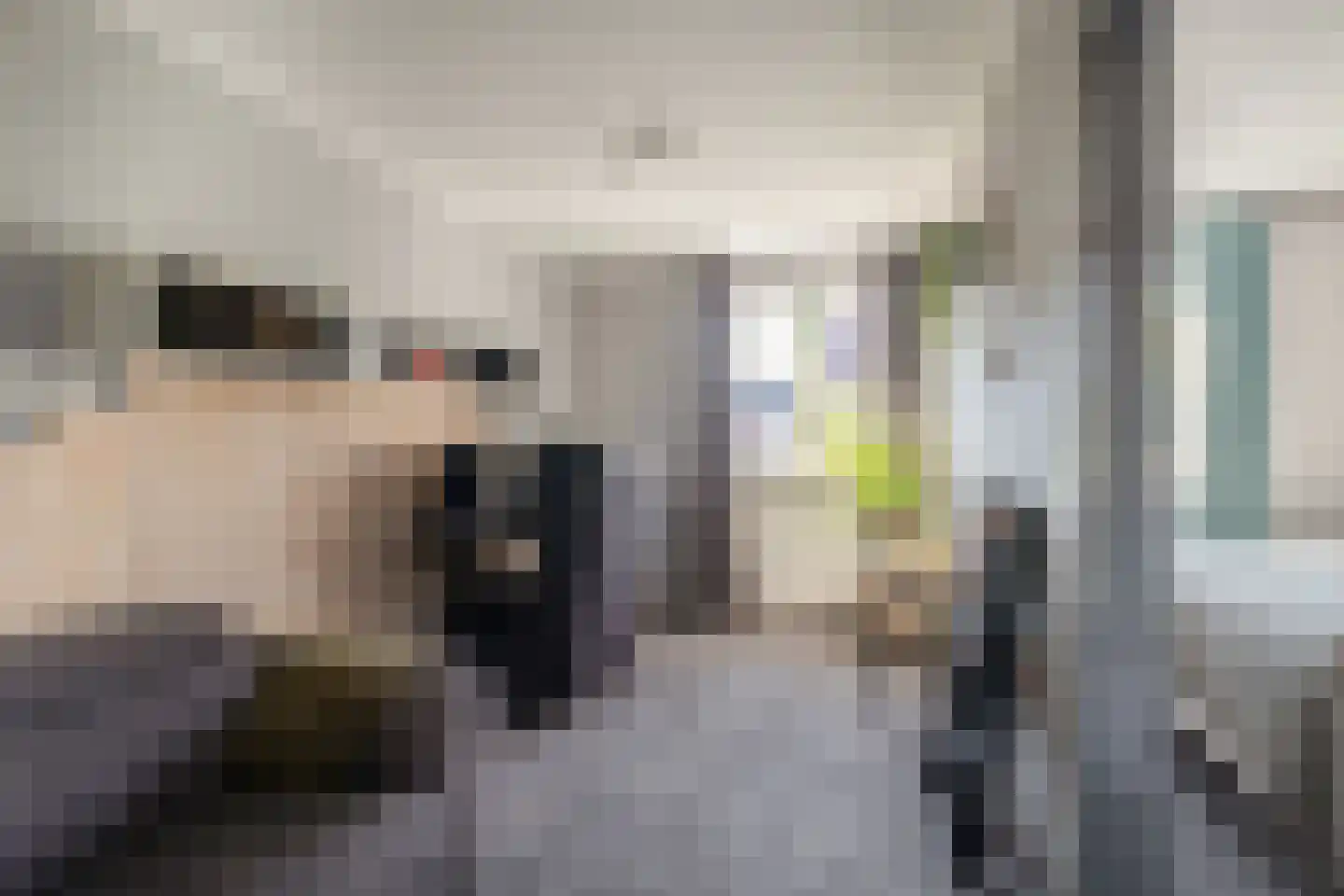 Everlo 15 Losser thumbnail 27