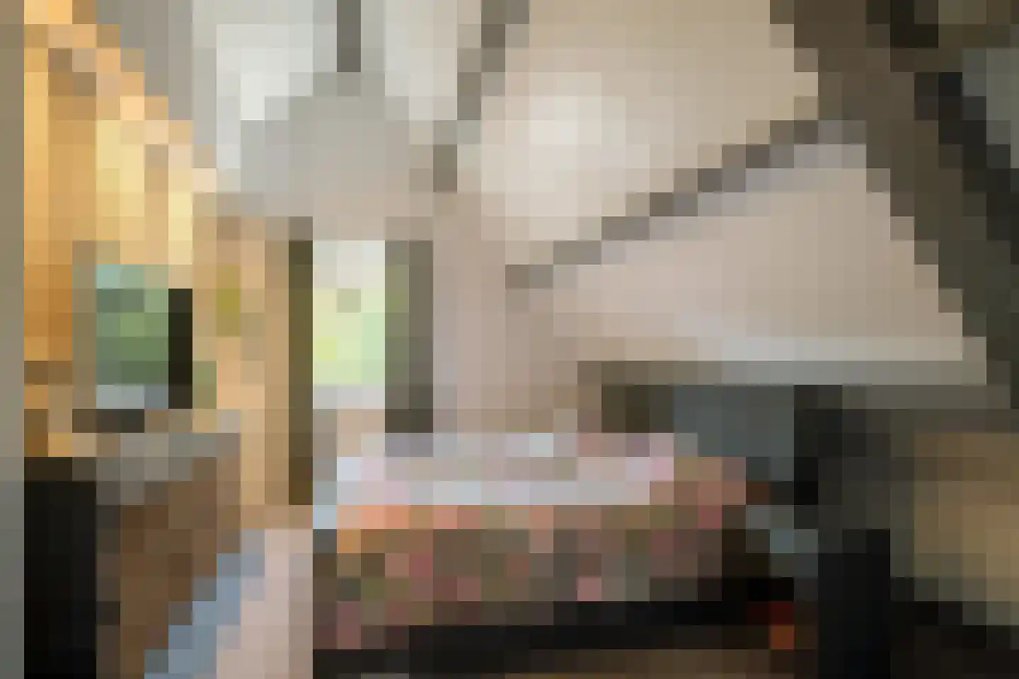 Everlo 15 Losser thumbnail 30