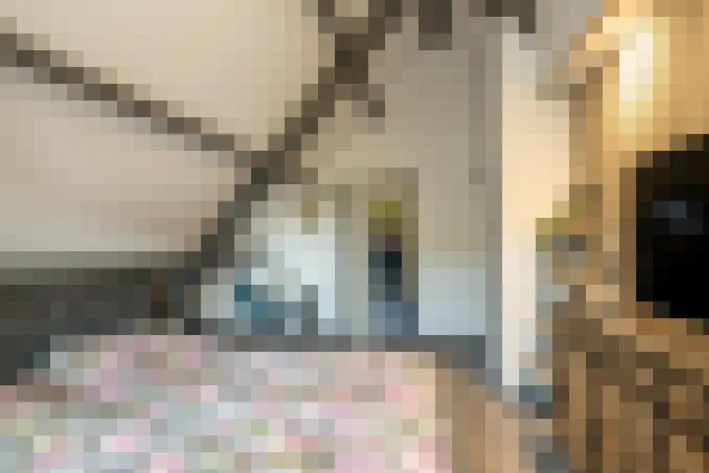 Everlo 15 Losser thumbnail 31