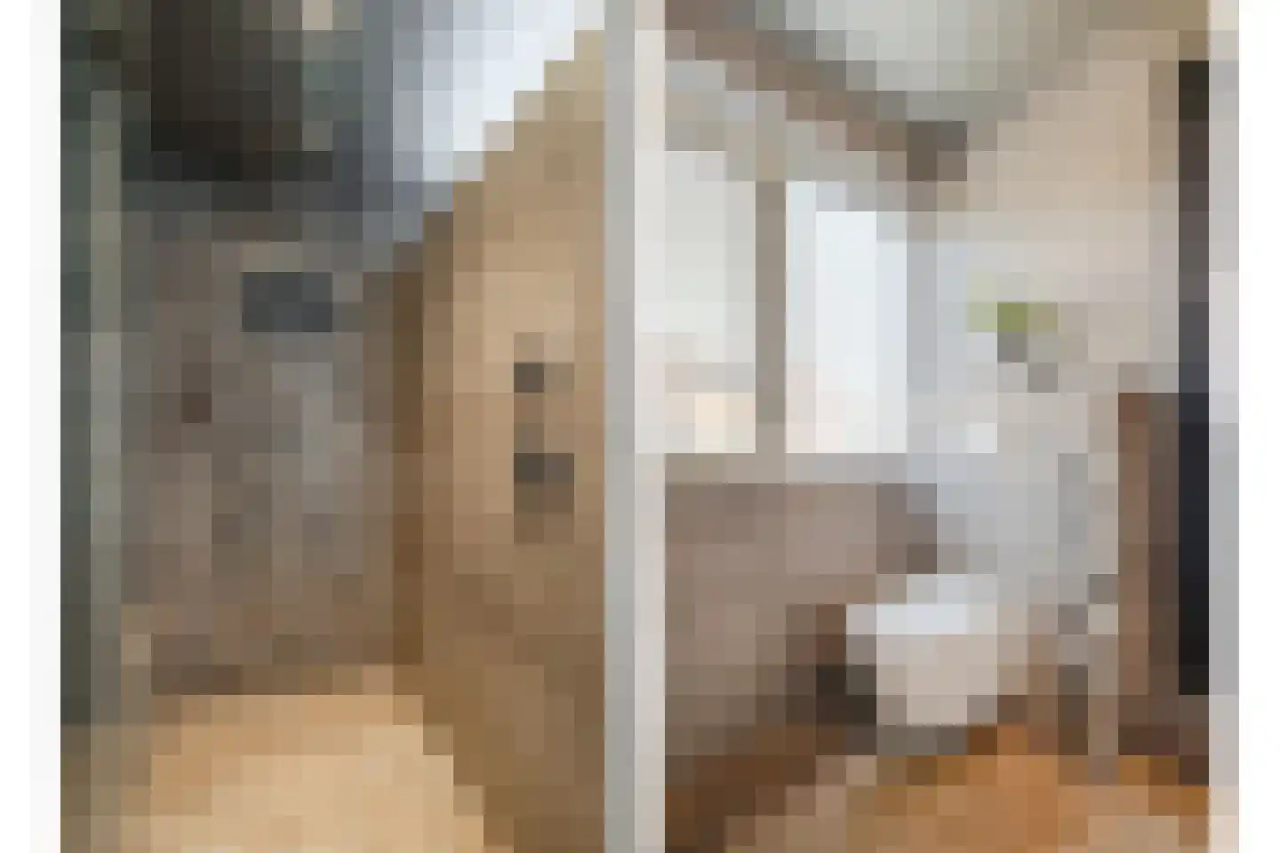 Everlo 15 Losser thumbnail 33