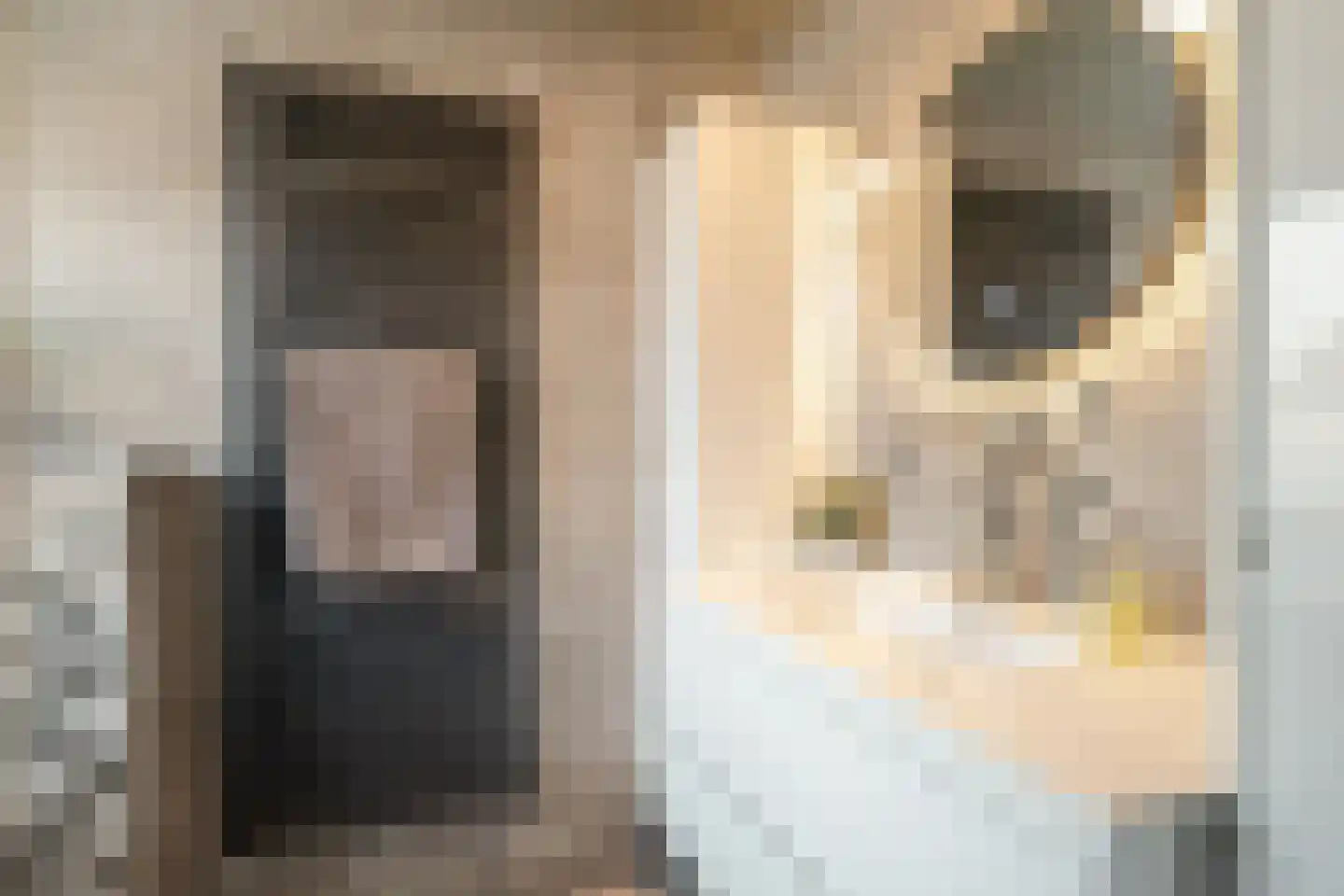 Everlo 15 Losser thumbnail 34