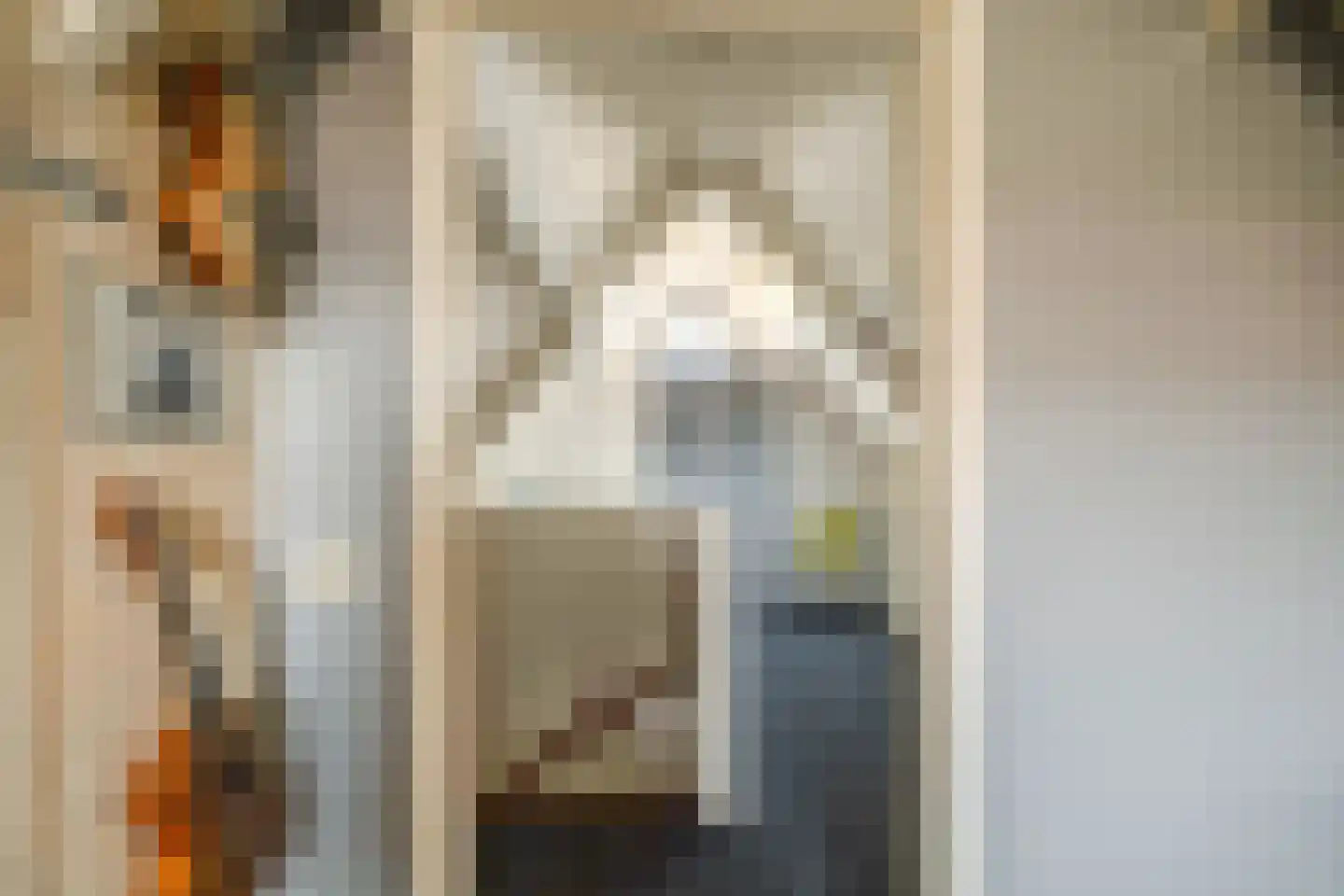 Everlo 15 Losser thumbnail 35