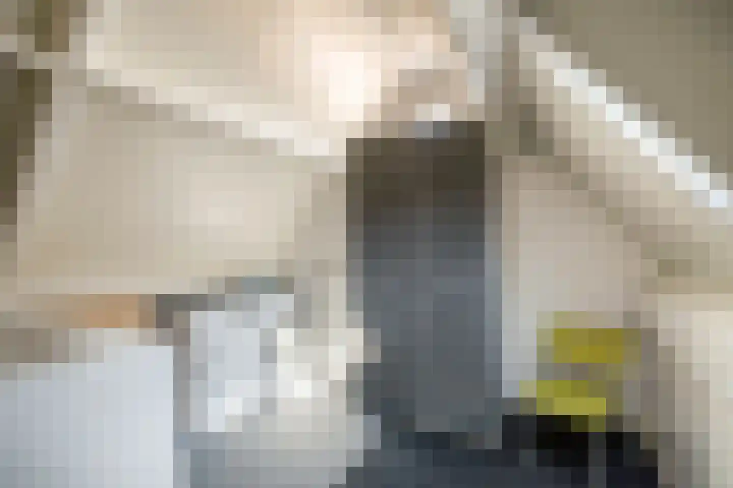 Everlo 15 Losser thumbnail 36