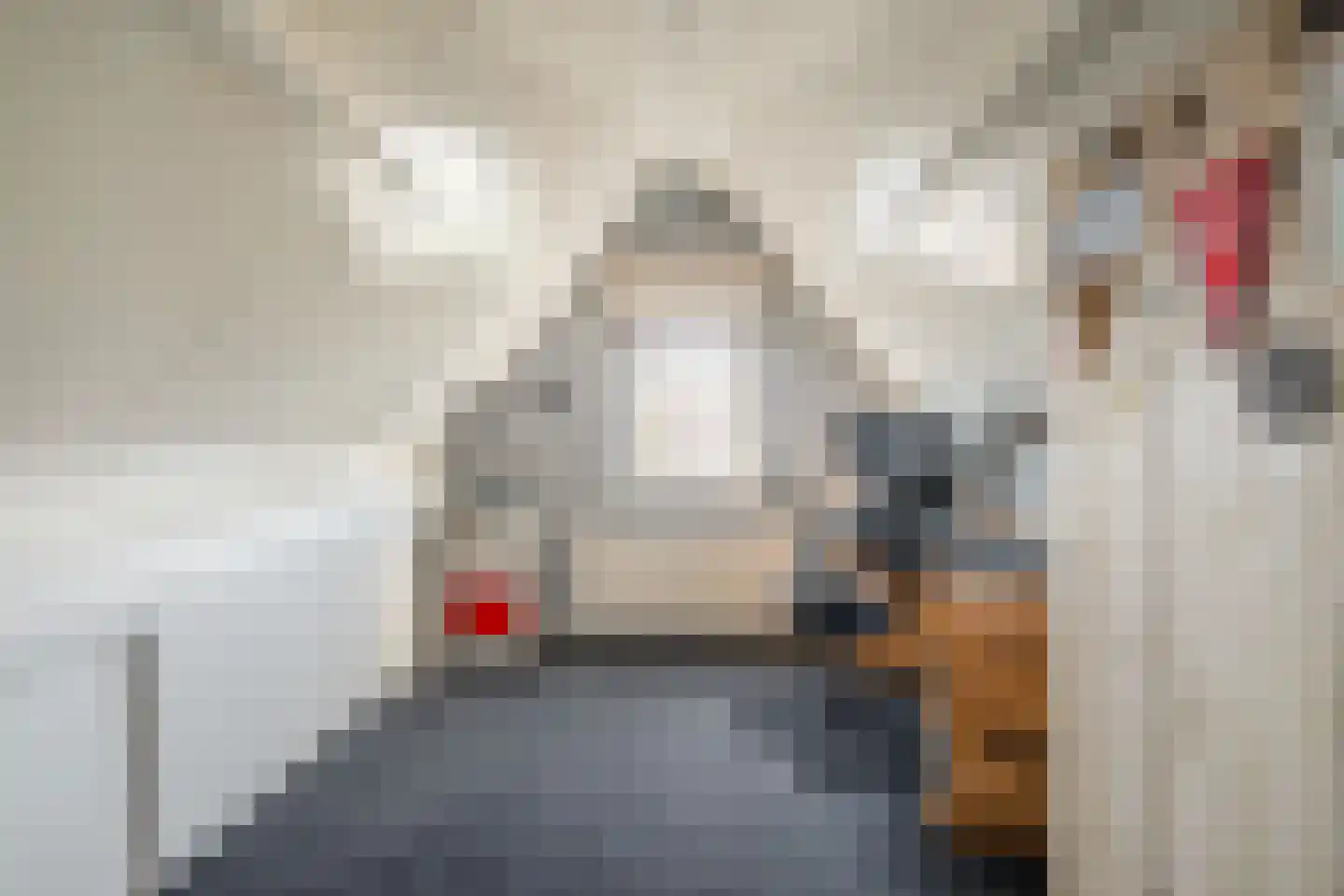 Everlo 15 Losser thumbnail 37