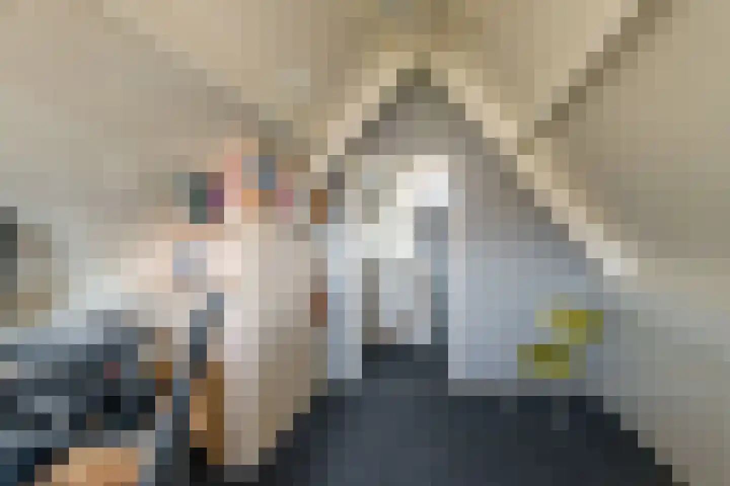 Everlo 15 Losser thumbnail 38