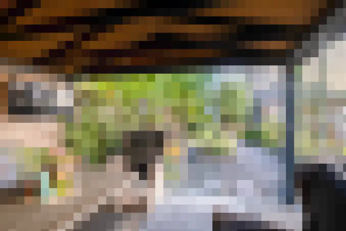 Everlo 15 Losser thumbnail 44