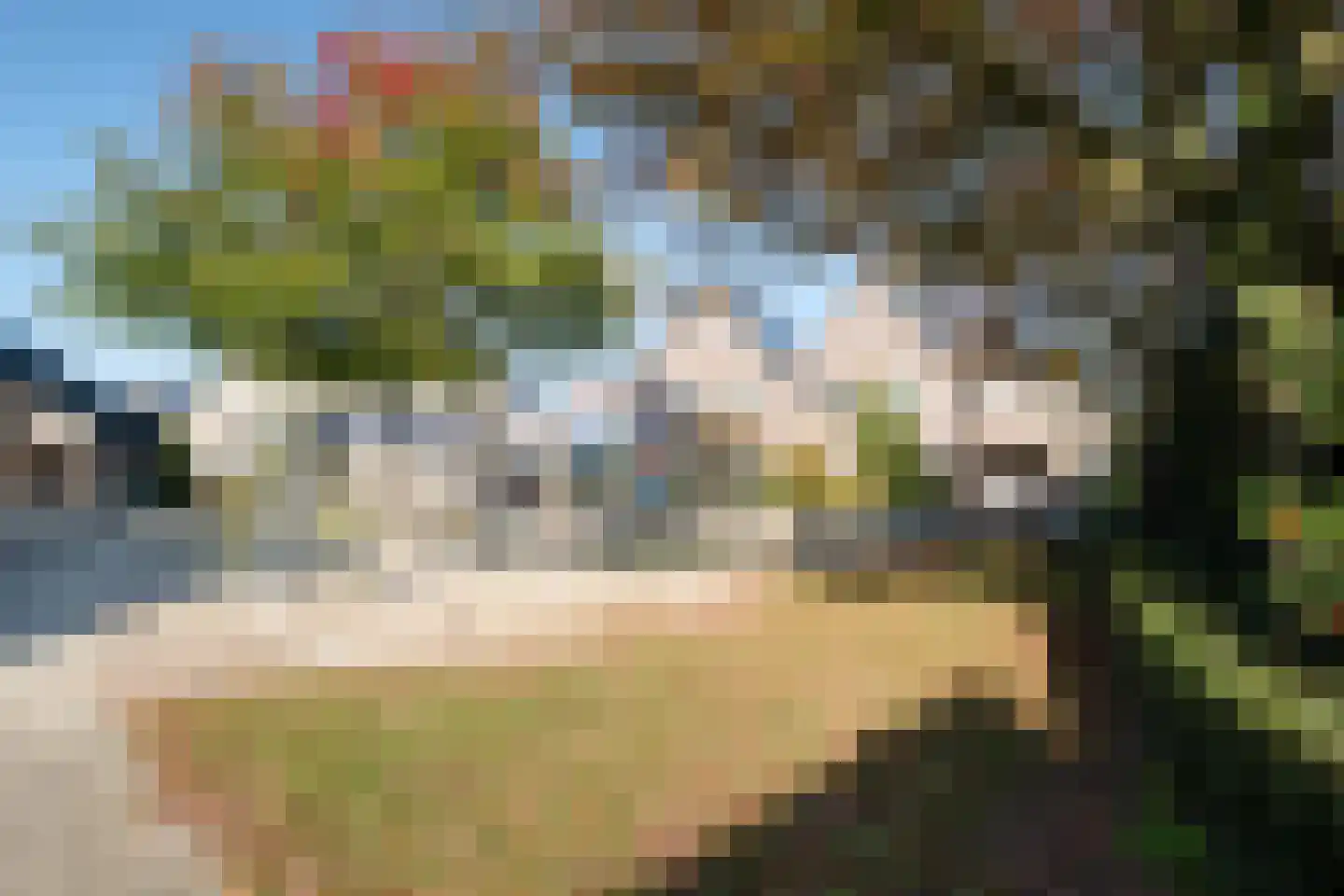 Everlo 15 Losser thumbnail 45