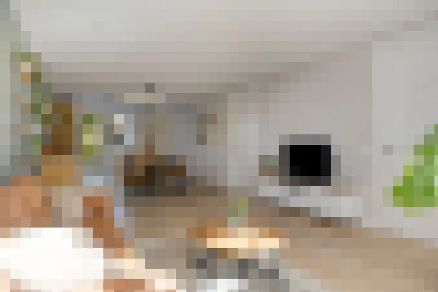 Everlo 27 Hengelo thumbnail 15