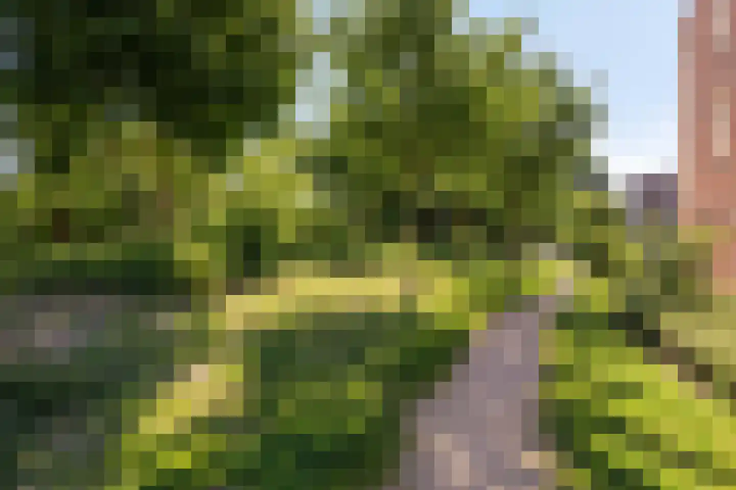 Everlo 27 Hengelo thumbnail 46