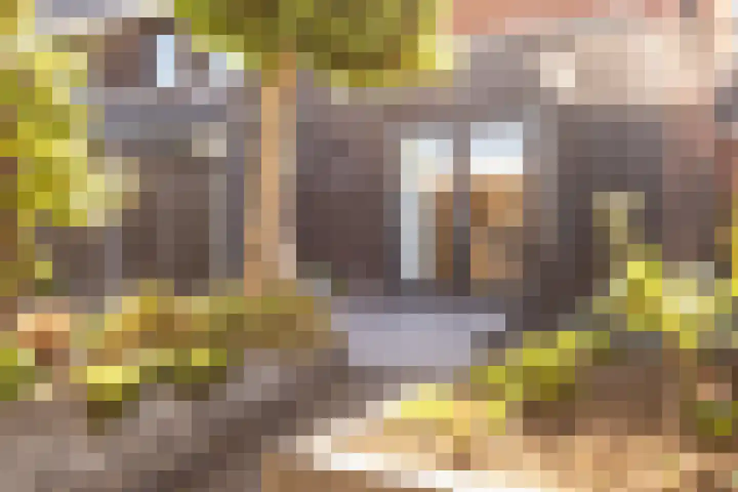 Everlo 27 Hengelo thumbnail 5