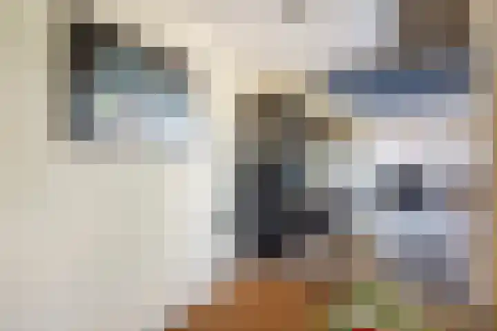 Everlo 3 Losser thumbnail 14