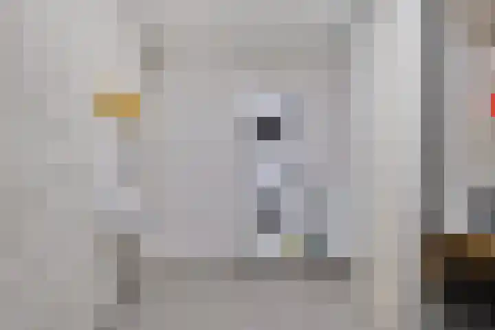 Everlo 3 Losser thumbnail 18
