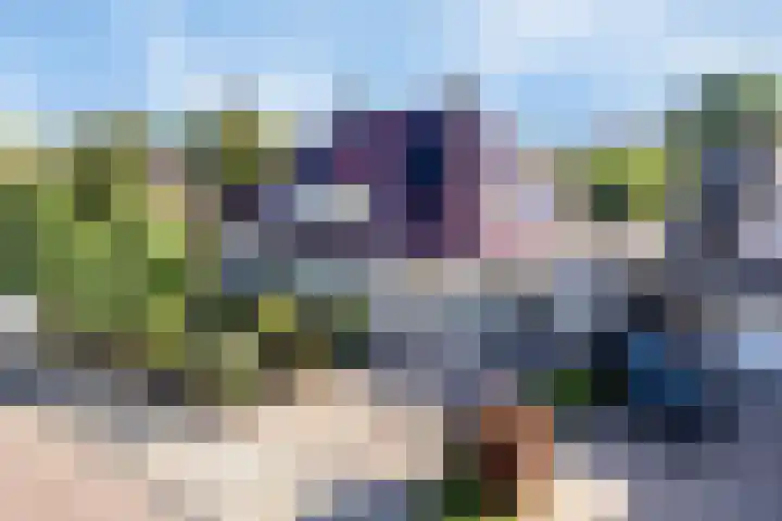 Everlo 3 Losser thumbnail 37