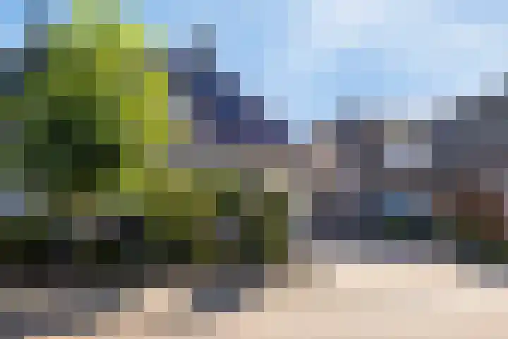 Everlo 3 Losser thumbnail 38