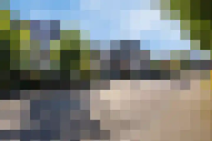 Everlo 3 Losser thumbnail 4