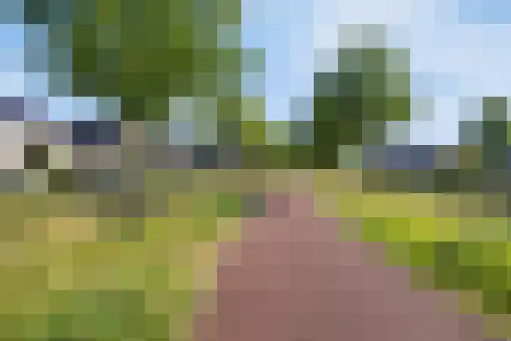 Everlo 3 Losser thumbnail 41