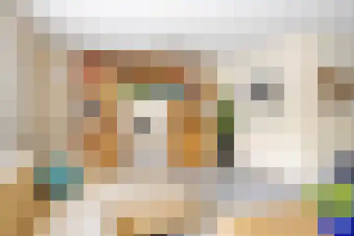 Everlo 3 Losser thumbnail 9