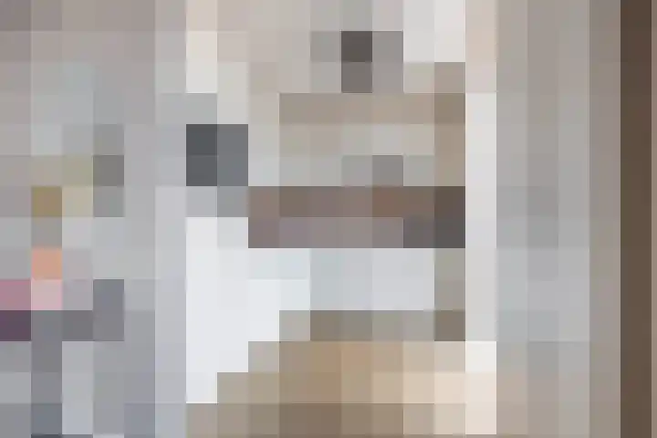 Everlo 6 Venlo thumbnail 13