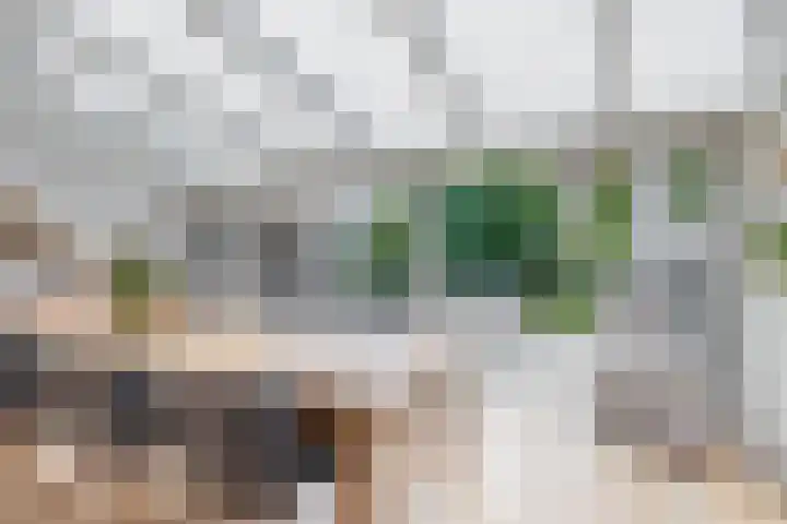Everlo 6 Venlo thumbnail 14