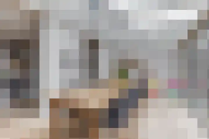 Everlo 6 Venlo thumbnail 15
