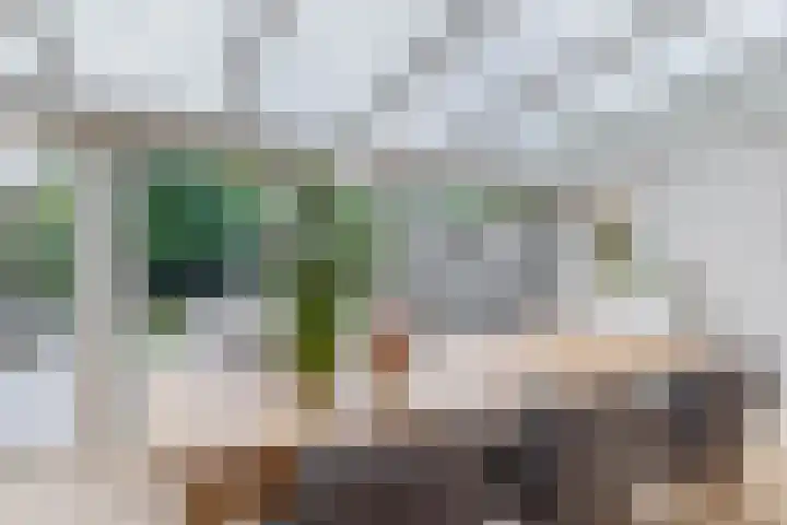 Everlo 6 Venlo thumbnail 16