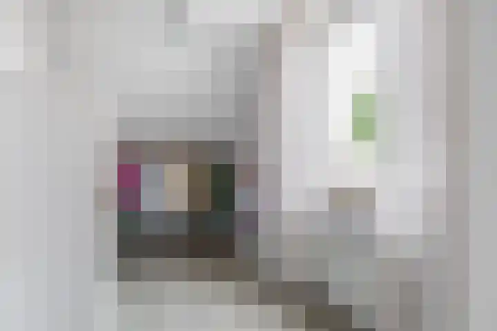 Everlo 6 Venlo thumbnail 26