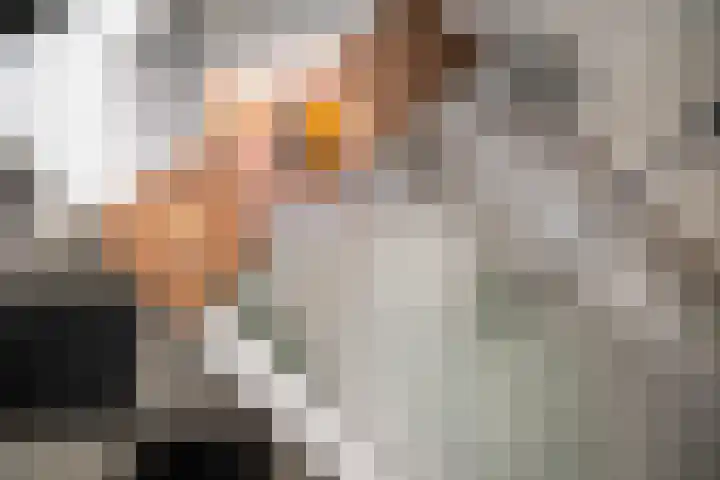 Everlo 6 Venlo thumbnail 28