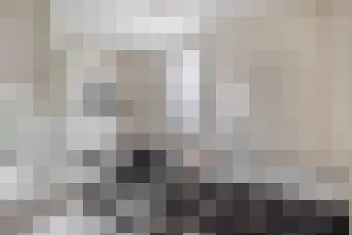 Everlo 6 Venlo thumbnail 29