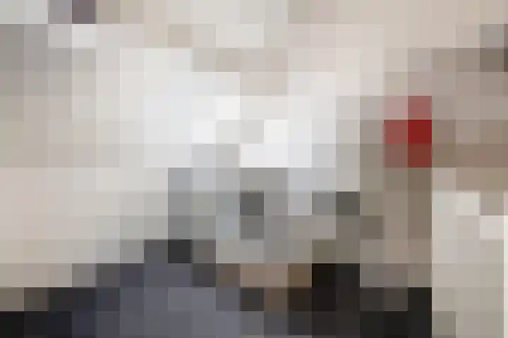 Everlo 6 Venlo thumbnail 31